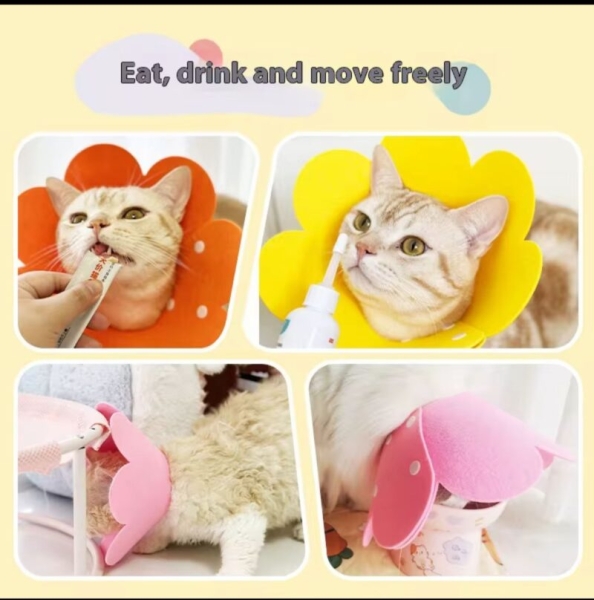 EVCİL HAYVAN KEÇELİ ELİZABETH YAKA SET 12'Lİ 4 BOY